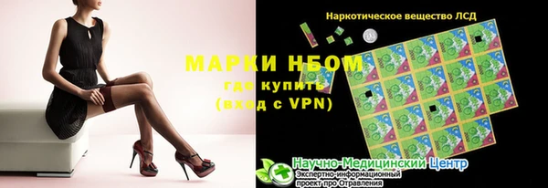 шишки Володарск