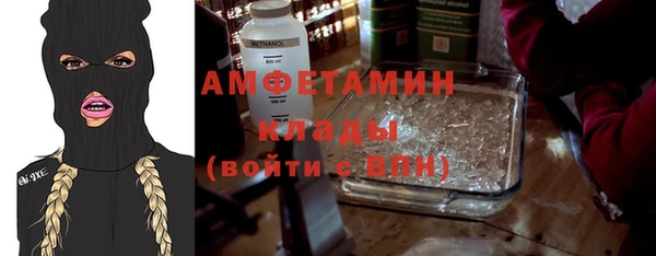 шишки Володарск