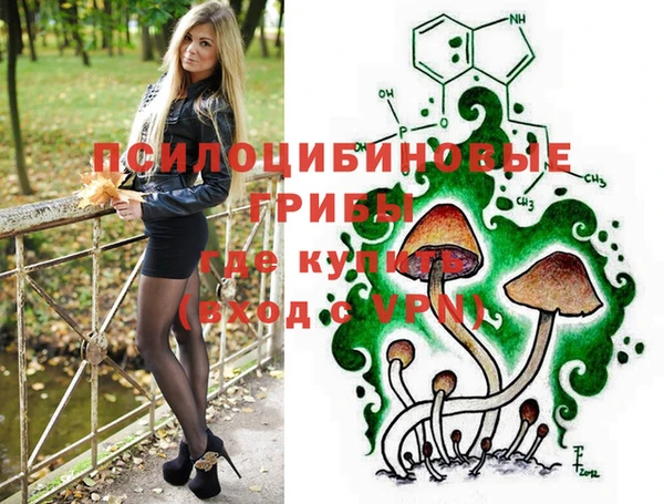 шишки Володарск