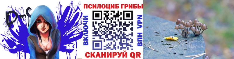 Галлюциногенные грибы MAGIC MUSHROOMS  Купить где  Минусинск 
